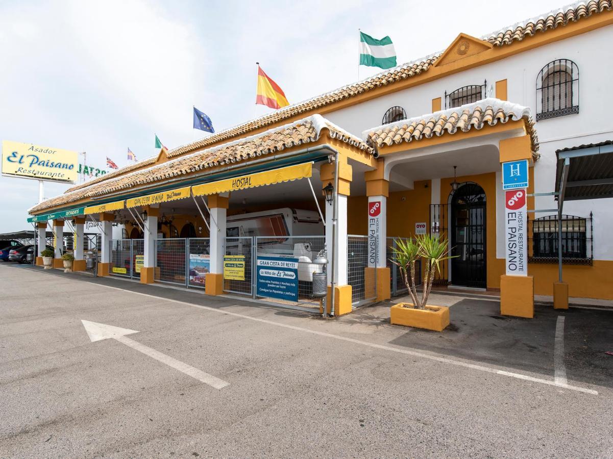 אוטררה Oyo Hostal El Paisano מראה חיצוני תמונה